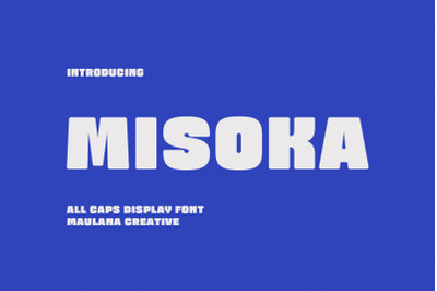 Misoka Soft Sans Font