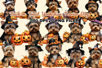Trick or Treat Yorkshire Terrier Dog
