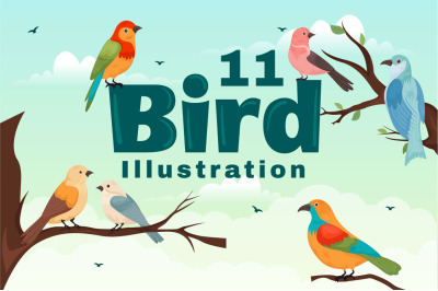 11 Bird Animal Vector Illustration