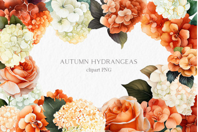 Autumn hydrangeas Watercolor Clipart PNG