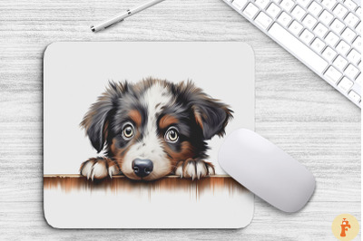 Cute Peeking Australian Shepherd Dog