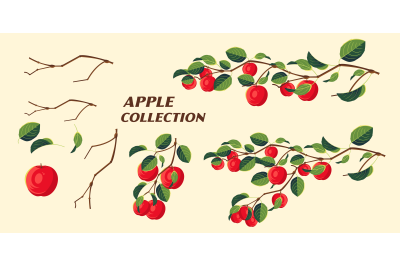 collection of apple trees, twigs leaves and fruit
