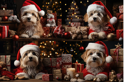 a dog wearing a santa hat sitting next to a pile of presents
