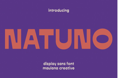 Natuno Reverse Contrast Display Sans Font