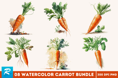 Watercolor Carrot Bundle