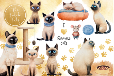 Siamese Cats Clipart Set