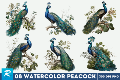 Watercolor Peacock Sublimation