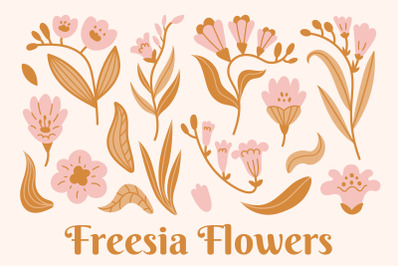 Freesia Flowers