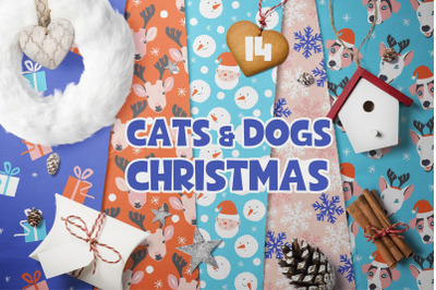 Cats and Dogs Christmas