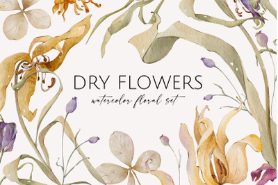 DRY FLOWERS watercolor floral set