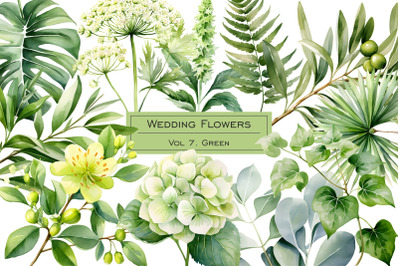 Watercolor green wedding flowers and leaves clipart. Greenery clip art. Green color plants Green floral wedding watercolor set.