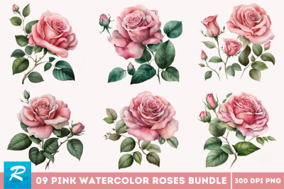 Pink Watercolor Roses Clipart Bundle