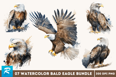 Watercolor Bald Eagle Clipart Bundle