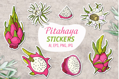Pitahaya/Printable Stickers Cricut Design