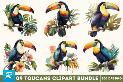 Watercolor Toucans Clipart Bundle