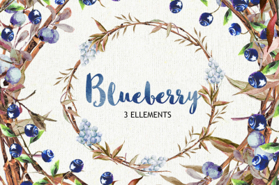 Blueberry watercolor clipart