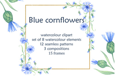 Blue cornflowers bundle
