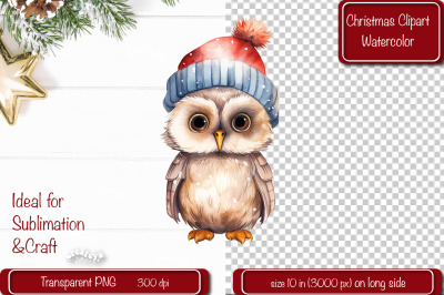 Christmas Clipart Owl Illustration Watercolor Christmas clipart PNG