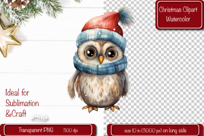 Christmas Clipart Owl Illustration Watercolor Christmas clipart PNG