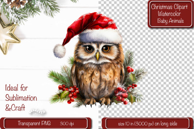 Christmas Clipart Owl Illustration Watercolor Animal Christmas clipart
