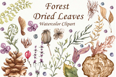 Forest Clipart. Forest Leaves Watercolor Clipart