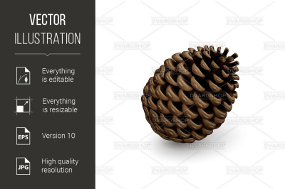 Fir Cone