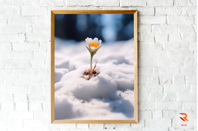 Little Flower Born In The Snow Wall Art