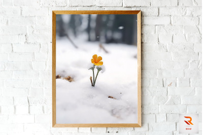 Little Flower Born In The Snow Wall Art