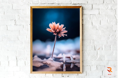 Beautiful Flower In The Snow Wall Art