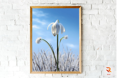 Frosted Snowdrop Winter Wall Art