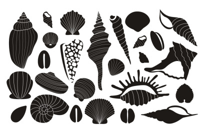 Black shells. Exotic seashells silhouettes of various shapes and forms