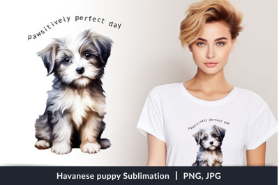 Havanese puppy Sublimation.