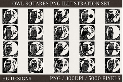 Owl Squares Png Collection