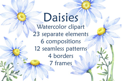 Delicate daisies