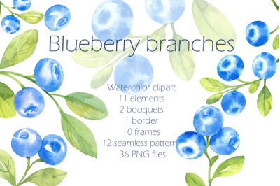 Blueberries, watercolor clipart