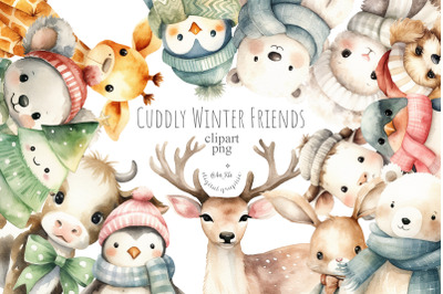 Winter Animals