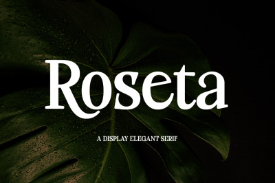 Roseta Display