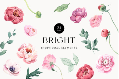 Bright Flowers Watercolor Elements
