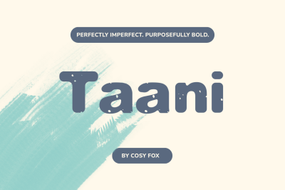 Taani Chunky Sans Serif Font