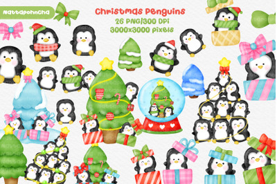 Watercolor Christmas penguins clipart.