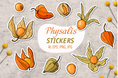 Physalis &2F;Printable Stickers Cricut Design