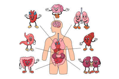 Cartoon human body organs mascots. Anatomy poster with brain, lungs an