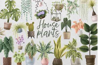 Cozy House Plants Clipart