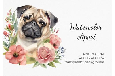 Floral Pug Clipart, PNG, Watercolor Art Graphic