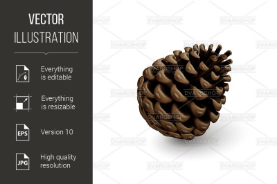 Fir Cone