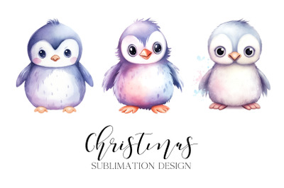 Christmas Penguin Sublimation Design PNG