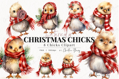 Watercolor Christmas Chick Clipart