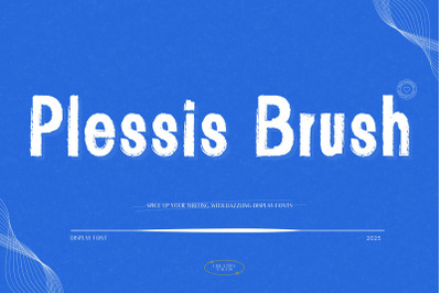Plessis Brush Display Font