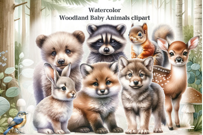 Woodland Baby Animals clipart Watercolor Forest Baby Animals PNG