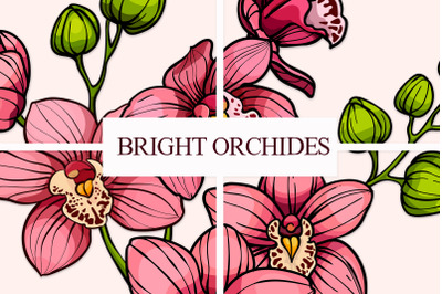Bright orchids. Vector set